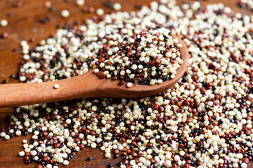 red and withe raw quinoa on wooden spoon