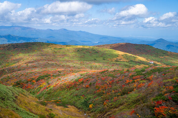宮城県栗原市、秋田県湯沢市、雄勝郡東成瀬村、岩手県一関市にある栗駒山を紅葉の時期に登山する風景A view of climbing Mt. Kurikoma in Kurihara City, Miyagi Prefecture, Yuzawa City, Akita Prefecture, during the autumn foliage season.