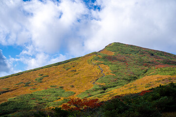 宮城県栗原市、秋田県湯沢市、雄勝郡東成瀬村、岩手県一関市にある栗駒山を紅葉の時期に登山する風景A view of climbing Mt. Kurikoma in Kurihara City, Miyagi Prefecture, Yuzawa City, Akita Prefecture, during the autumn foliage season.
