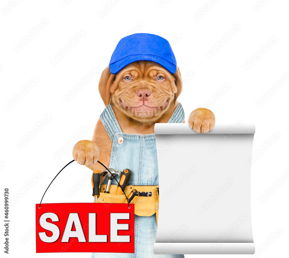 Poster funny mastiff puppy worker wearing blue cap and tool belt and overalls holds sales symbol and empty 