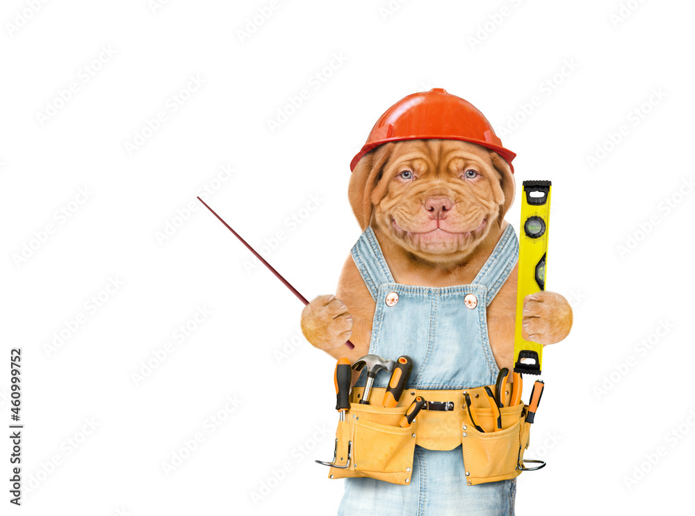 Poster Smiling puppy worker wearing hardhat and overalls with tool belt holds spirit level and pointing away on empty space.  Isolated on white background