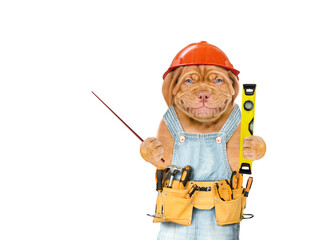 Smiling puppy worker wearing hardhat and overalls with tool belt holds spirit level and pointing away on empty space.  Isolated on white background