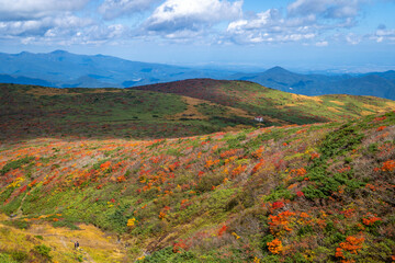 宮城県栗原市、秋田県湯沢市、雄勝郡東成瀬村、岩手県一関市にある栗駒山を紅葉の時期に登山する風景A view of climbing Mt. Kurikoma in Kurihara City, Miyagi Prefecture, Yuzawa City, Akita Prefecture, during the autumn foliage season.