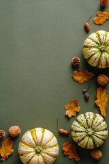 Happy Thanksgiving day vertical banner. Pumpkins, dry oak leaves, acorns, cones on vintage green...