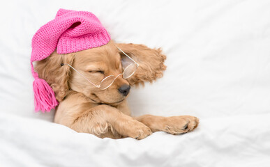 Cozy English Cocker Spaniel puppy wearing eyeglasses and warm hat sleeps on a bed at home. Top down...