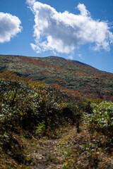 宮城県栗原市、秋田県湯沢市、雄勝郡東成瀬村、岩手県一関市にある栗駒山を紅葉の時期に登山する風景A view of climbing Mt. Kurikoma in Kurihara City, Miyagi Prefecture, Yuzawa City, Akita Prefecture, during the autumn foliage season.