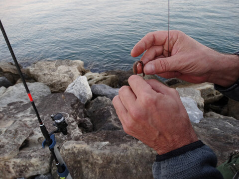 Man Hands Holding Fishing Stuff With Rod At Background