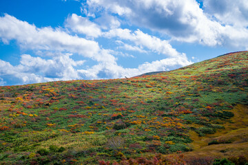 宮城県栗原市、秋田県湯沢市、雄勝郡東成瀬村、岩手県一関市にある栗駒山を紅葉の時期に登山する風景A view of climbing Mt. Kurikoma in Kurihara City, Miyagi Prefecture, Yuzawa City, Akita Prefecture, during the autumn foliage season.