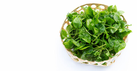 Watercress in bamboo basket on white background