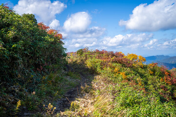宮城県栗原市、秋田県湯沢市、雄勝郡東成瀬村、岩手県一関市にある栗駒山を紅葉の時期に登山する風景A view of climbing Mt. Kurikoma in Kurihara City, Miyagi Prefecture, Yuzawa City, Akita Prefecture, during the autumn foliage season.