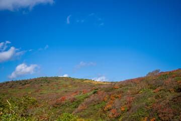 宮城県栗原市、秋田県湯沢市、雄勝郡東成瀬村、岩手県一関市にある栗駒山を紅葉の時期に登山する風景A view of climbing Mt. Kurikoma in Kurihara City, Miyagi Prefecture, Yuzawa City, Akita Prefecture, during the autumn foliage season.