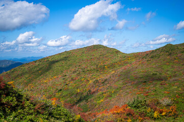 宮城県栗原市、秋田県湯沢市、雄勝郡東成瀬村、岩手県一関市にある栗駒山を紅葉の時期に登山する風景A view of climbing Mt. Kurikoma in Kurihara City, Miyagi Prefecture, Yuzawa City, Akita Prefecture, during the autumn foliage season.