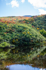 Fototapeta premium 宮城県栗原市、秋田県湯沢市、雄勝郡東成瀬村、岩手県一関市にある栗駒山を紅葉の時期に登山する風景A view of climbing Mt. Kurikoma in Kurihara City, Miyagi Prefecture, Yuzawa City, Akita Prefecture, during the autumn foliage season.