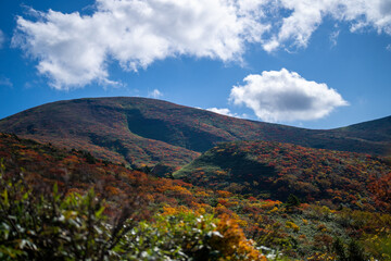 宮城県栗原市、秋田県湯沢市、雄勝郡東成瀬村、岩手県一関市にある栗駒山を紅葉の時期に登山する風景A view of climbing Mt. Kurikoma in Kurihara City, Miyagi Prefecture, Yuzawa City, Akita Prefecture, during the autumn foliage season.