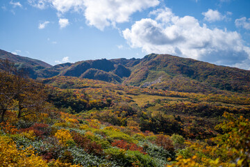 宮城県栗原市、秋田県湯沢市、雄勝郡東成瀬村、岩手県一関市にある栗駒山を紅葉の時期に登山する風景A view of climbing Mt. Kurikoma in Kurihara City, Miyagi Prefecture, Yuzawa City, Akita Prefecture, during the autumn foliage season.