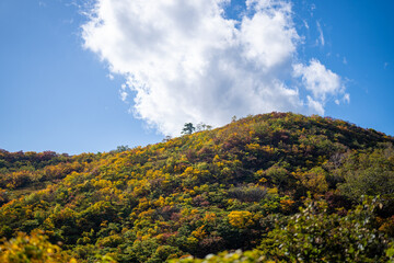 Fototapeta premium 宮城県栗原市、秋田県湯沢市、雄勝郡東成瀬村、岩手県一関市にある栗駒山を紅葉の時期に登山する風景A view of climbing Mt. Kurikoma in Kurihara City, Miyagi Prefecture, Yuzawa City, Akita Prefecture, during the autumn foliage season.