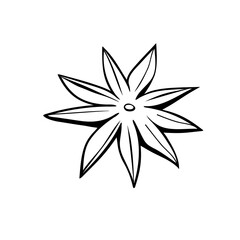 Hand drawn vector outline star anise in doodle style, isolated. Spice, clipart, ingredient, component for hot drinks, mulled wine and food. EPS 10.