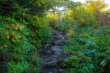 宮城県栗原市、秋田県湯沢市、雄勝郡東成瀬村、岩手県一関市にある栗駒山を紅葉の時期に登山する風景A view of climbing Mt. Kurikoma in Kurihara City, Miyagi Prefecture, Yuzawa City, Akita Prefecture, during the autumn foliage season.