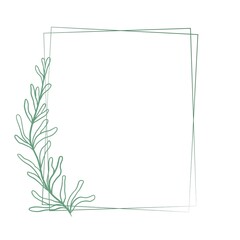 Beautiful double rectangular frame with a graceful  branch with sheets, vector illustration. Botanical template for congratulations or invitations. Hand drawn graphics, natural contour with leaves.