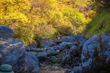 宮城県栗原市、秋田県湯沢市、雄勝郡東成瀬村、岩手県一関市にある栗駒山を紅葉の時期に登山する風景A view of climbing Mt. Kurikoma in Kurihara City, Miyagi Prefecture, Yuzawa City, Akita Prefecture, during the autumn foliage season.