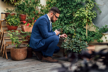 Male professional touching plants while crouching in balcony