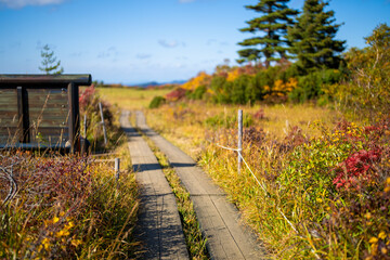 宮城県栗原市、秋田県湯沢市、雄勝郡東成瀬村、岩手県一関市にある栗駒山を紅葉の時期に登山する風景A view of climbing Mt. Kurikoma in Kurihara City, Miyagi Prefecture, Yuzawa City, Akita Prefecture, during the autumn foliage season.
