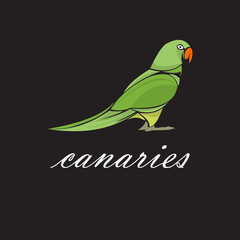 canaries bird logo mascot template