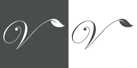 Logotipo letra inicial V con hojas de planta en fondo gris y fondo blanco - obrazy, fototapety, plakaty