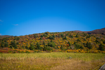 Obraz premium 宮城県栗原市、秋田県湯沢市、雄勝郡東成瀬村、岩手県一関市にある栗駒山を紅葉の時期に登山する風景A view of climbing Mt. Kurikoma in Kurihara City, Miyagi Prefecture, Yuzawa City, Akita Prefecture, during the autumn foliage season.