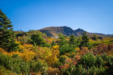 宮城県栗原市、秋田県湯沢市、雄勝郡東成瀬村、岩手県一関市にある栗駒山を紅葉の時期に登山する風景A view of climbing Mt. Kurikoma in Kurihara City, Miyagi Prefecture, Yuzawa City, Akita Prefecture, during the autumn foliage season.