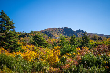 宮城県栗原市、秋田県湯沢市、雄勝郡東成瀬村、岩手県一関市にある栗駒山を紅葉の時期に登山する風景A view of climbing Mt. Kurikoma in Kurihara City, Miyagi Prefecture, Yuzawa City, Akita Prefecture, during the autumn foliage season.
