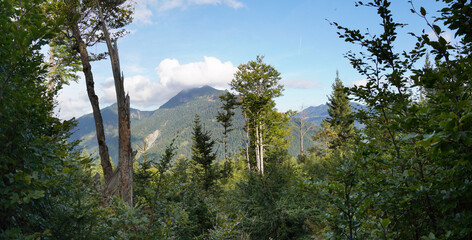 Wanderung auf den Schinder