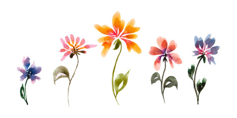 Set of flowers and leaves traditional drawing and painting by water-color on white background