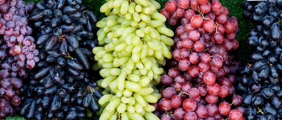 Green, red, black and purple grapes fruits on nature background.
