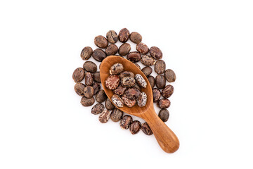 Ricinus communis or castor fruits and seeds isolated on white background.top view,flat lay.