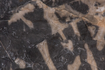 Gray black marble texture isolated on white background.