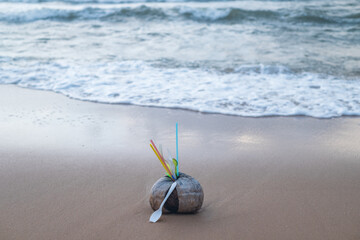 Old coconut with used plastic dishes and straws inside laying on the beach. Sea on the background. Concept of stop plastic pollution, plastic free.