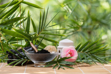 Bamboo Charcoal and powder on nature background.