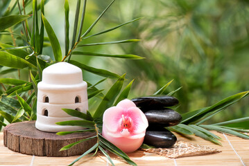 Bamboo green leaves,spa concept with zen and black stones.