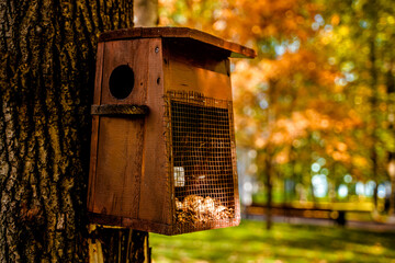Feeder for birds and small rodents in the park in autumn