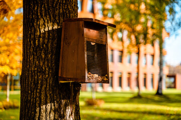 Feeder for birds and small rodents in the park in autumn