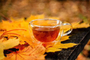 A mug of tea stands on a bench with yellow autumn leaves. The concept of a cozy autumn