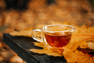 A mug of tea stands on a bench with yellow autumn leaves. The concept of a cozy autumn
