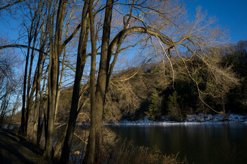 River valley and trees