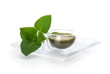 Indian borage, oregano or plectranthus amboinicus branch green leaves and extracted with water isolated on white background.
