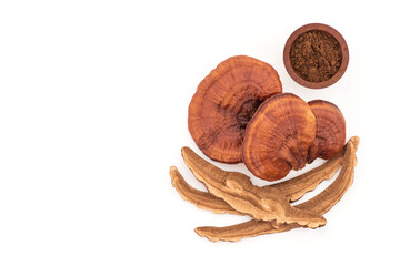 Reishi or lingzhi mushroom isolated on white background with clipping path.top view,flat lay.