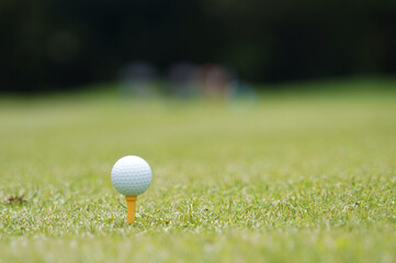 white golf ball on tee on green grass of golf course