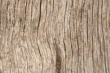 Old plank wood isolated on white background.