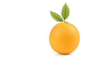 Orange fruit isolated on white background with clipping path.