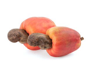 Cashew nuts fruits isolated on background with clipping path.